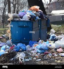 Best Dumpster Rental Services  in New Castle, IN